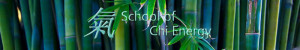 The School of Chi Energy